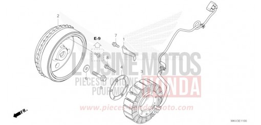 GENERATRICE NSS750M de 2021